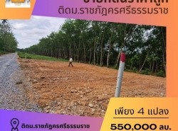 รถมือสอง อสังหาริมทรัพย์ ที่ดิน ปี 0 