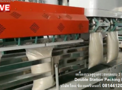 ขายเครื่องชั่งบรรจุถุงกระสอบ แบบสองหัว Double Station Packing Machine 