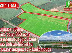 รถมือสอง อสังหาริมทรัพย์ ที่ดิน ปี 0 