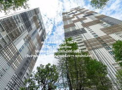 คอนโดฯ Park Origin Phrom Phong 96square meter  ใกล้ เพียงไม่กี่นาทีจาก BTS พร้อมพงษ์ และ MRT ศูนย์ฯ สิริกิติ์  G O O D! เป็นคอนโดหรูระดับไฮเอนด์ที่เจ้าของอยู่เอง (ปัจจุบันไม่ได้อยู่แล้ว) ไม่เคยปล่อยให้เช่า มีเนื้อที่ห้องที่มาก ตั้งอยู่บนทำเลมีสิ่งอำนวยความสะดวกครบครัน และเหมาะสมสำหรับนักลงทุนที่ต้องการซื้อเพื่ออยู่เอง หรือซื้อไว้เพื่อไว้ปล่อยเช่าต่อไป