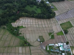 รถมือสอง อสังหาริมทรัพย์ ที่ดิน ปี 0 