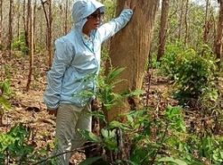 รถมือสอง อสังหาริมทรัพย์ ที่ดิน ปี 0 