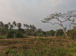 รถมือสอง อสังหาริมทรัพย์ ที่ดิน ปี 0 