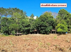 รถมือสอง อสังหาริมทรัพย์ ที่ดิน ปี 0 