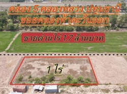 ที่ดินคลองห้า คลองหลวง ปทุมธานี ที่ทำเลดี ขนาด 1 ไร่