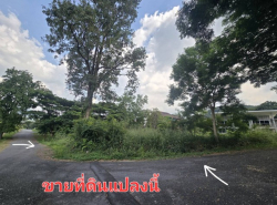 อสังหาริมทรัพย์ - ที่ดิน