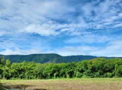 รถมือสอง อสังหาริมทรัพย์ ที่ดิน ปี 0 