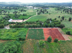 รถมือสอง อสังหาริมทรัพย์ ที่ดิน ปี 0 