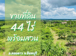 ขายที่ดินพร้อมสวนติดเชิงเขา ราคาถูก  ทำเลทอง อำเภอสอยดาว จังหวัดจันทบุรี (เจ้าของขายเอง)