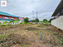 ขาย ที่ดิน ติดถนนพระราม2 สมุทรสงคราม ใกล้ทางเข้าดอนหอยหลอด 2 งาน 4 ตรว