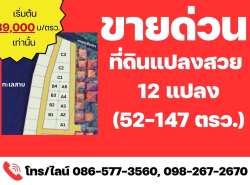 ขาย ที่ดิน  ที่ดินสวย บางใหญ่ซิตี้ที่ดินบางใหญ่ 52.6 ตร.วา ทำเลดี มี 12 แปลง