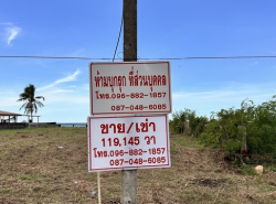 หาทรัพย์ดีดีท้าลมหนาว  ขายที่ดินริมหาดสะพลีทรายขาวน้ำใสคราม สวยงามวิวทะเลธรรมชาติสุดสุด ปะทิวใกล้หาดสวยทุ่งวัวแล่น  