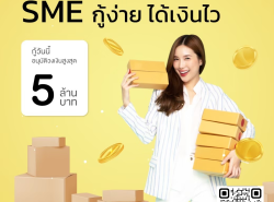 บริษัทสินเชื่อ Star Loan