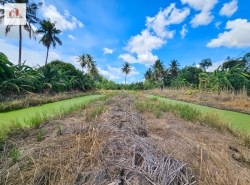 รถมือสอง อสังหาริมทรัพย์ ที่ดิน ปี 0 