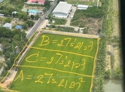 BL138 ขายที่ดิน ต.ไทยน้อย นนทบุรี 6 ไร่ 18 ล้าน ใกล้สวนอินทผลัมสด คุณตาราญ โรงงาน ไทย เคมีคอล สโตเรจ (โรงงาน ณ อ.ไทรน้อย)