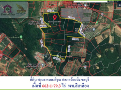 ขายที่ดินหนองไผ่แก้ว บ้านบึง เนื้้อที่ 662-1-79.3 ไร่  ตำบลหนองไผ่แก้ว  อำเภอบ้านบึง ชลบุรี 20220