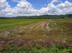 รถมือสอง อสังหาริมทรัพย์ ที่ดิน ปี 0 