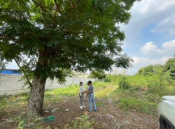 รถมือสอง อสังหาริมทรัพย์ ที่ดิน ปี 0 