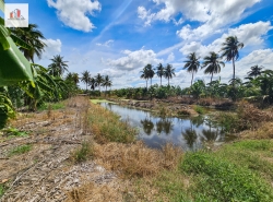 รถมือสอง อสังหาริมทรัพย์ ที่ดิน ปี 0 