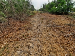 รถมือสอง อสังหาริมทรัพย์ ที่ดิน ปี 0 