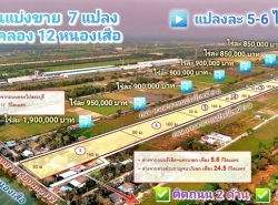 ขายที่ดิน คลอง 12 หนองเสือ 5 ไร่ ติดถนน 2 ด้าน  เหมาะปลูกบ้านสวน ทำเกษตรพอเพียงอยู่ใกล้แหล่งชุมชน