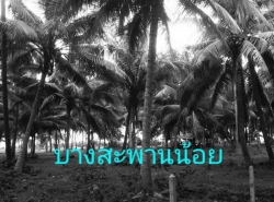 ทรัพย์ดีราคาคุยกันได้แถมวางดาวน์ผ่อนต่อได้   ขายใกล้ทะเลขายถูกเหลือไม่กี่แปลง   หาดผาฝั่งแดง UNSEEN THAILAND 