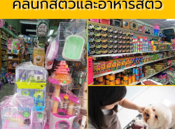 รถมือสอง บริการสินเชื่อ บริการสินเชื่อ ปี 0 