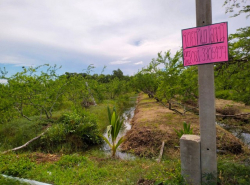 รถมือสอง อสังหาริมทรัพย์ ที่ดิน ปี 0 