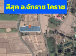 รถมือสอง อสังหาริมทรัพย์ ที่ดิน ปี 0 