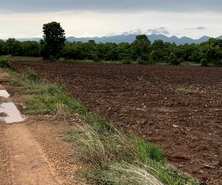 รถมือสอง อสังหาริมทรัพย์ ที่ดิน ปี 0 