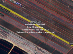 รหัส:  DSL-637   ที่ดิน ขายที่ดินทุ่งนาติดถนน ต.คลองเปร็ง อ.เมืองฉะเชิงเทรา 13-0-24.9 ไร่ 6.25 ล้านบาท  25 ตาราง-วา 0 งาน 13 ไร่  6250000 thb ราคาต่ำกว่าตลาด