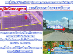 ขายที่สีม่วง 3 ไร่ ผังอีอีซี รถเทรลเลอร์เข้าได้ ต.เขาดิน อ.บางปะกง จ.ฉะเชิงเทรา