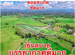 รถมือสอง อสังหาริมทรัพย์ ที่ดิน ปี 0 