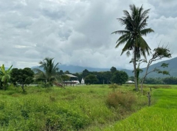 ที่ดินแปลงสวย  วิวเขา แหล่งชุมชน แม่ออน เชียงใหม่  