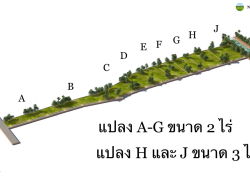 อสังหาริมทรัพย์ - ที่ดิน