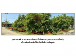 ขายที่ดิน  อำเภอโกรกพระ  นครสวรรค์ (PG-NSN-LD-A-660018)