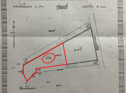 ขาย ที่ดิน ไชยณรงค์ ซ.3 ใกล้สวนสาธารณะหนองโสนต.โพธิ์กลาง อ.เมือง จ.นครราชสีมา 1 ไร่ 33 ตร.วา สร้างบ้านพัก หอพัก สนง.ธุรกิจ โกดัง