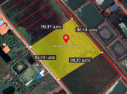 รถมือสอง อสังหาริมทรัพย์ ที่ดิน ปี 0 