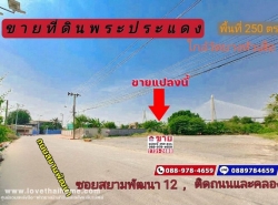 ขายที่ดิน ปากซอยสยามพัฒนา12 วัดบางหัวเสือ พื้นที่ 250 ตรว.  พระประแดง สมุทรปราการ ใกล้แม่น้ำเจ้าพระยา สะพานภูมิพล เหมาะสร้างโกดัง 