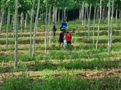 รถมือสอง อสังหาริมทรัพย์ ที่ดิน ปี 0 