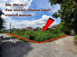 ขาย ที่ดิน เทียนทะเล 20 แยก 8 394 ตรว แปลงสวย กว้าง 36 ลึก 44 ราคาถูก