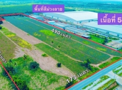 รถมือสอง อสังหาริมทรัพย์ ที่ดิน ปี 0 