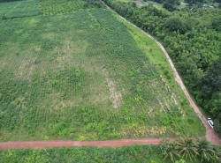 รถมือสอง อสังหาริมทรัพย์ ที่ดิน ปี 0 