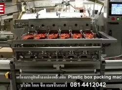 เครื่องบรรจุสินค้าลงกล่องพลาสติกแบบอัตโนมัติ Plastic Box Packing machi