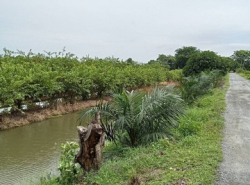 รถมือสอง อสังหาริมทรัพย์ ที่ดิน ปี 0 