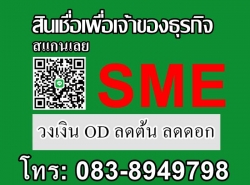 สินเชื่อเพื่อธุรกิจ สินเชื่อ SME เงินด่วนออนไลน์ เต็มเติมกิจการทุกขนาด