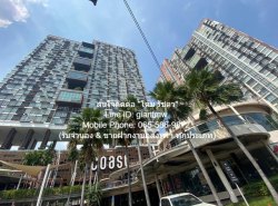 Condominium The Coast Bangkok 36 square meter 1 BEDROOM ไม่ไกลจาก ตลาดสี่แยกบางนา ราคาถูก เป็นคอนโดหรูที่เป็นห้องขนาดเล็ก ตั้งอยู่บนทำเลมีสิ่งอำนวยความสะดวกครบครัน และเหมาะสมสำหรับหนุ่มสาววัยเรียน หรือวัยทำงานที่ต้องการเช่า