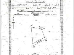 Land for sale Chaiyaphum ขายที่ดินชัยภูมิ มี 2 แปลง สามารถถมดิน ทำบ้าน