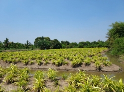 รถมือสอง อสังหาริมทรัพย์ ที่ดิน ปี 0 