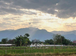 รถมือสอง อสังหาริมทรัพย์ ที่ดิน ปี 0 